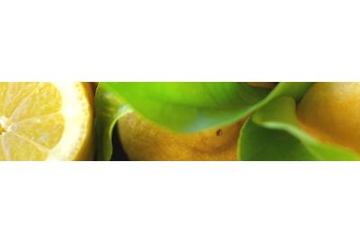 Des créations artisanales : la liqueur