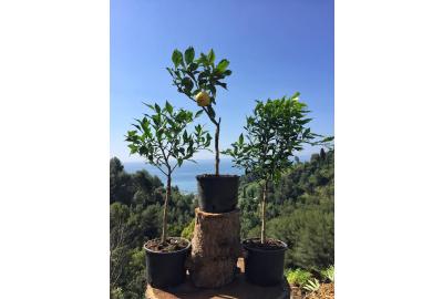 Journée Portes Ouvertes le dimanche 04 novembre !