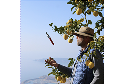Attrapez votre sécateur et suivez les conseils de Laurent Gannac !