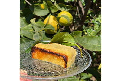 Recette du Fiadone au Citron de Menton IGP BIO