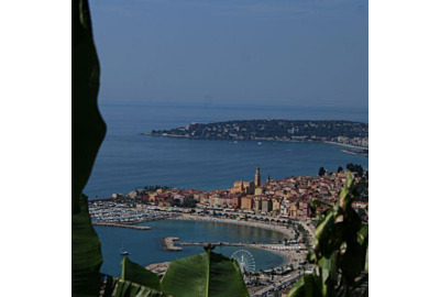 Quand Boston rencontre Menton : le Citron de Menton s’envole vers les États-Unis