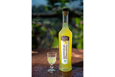 FAQ : le Limoncello bio au Citron de Menton IGP by Maison Gannac