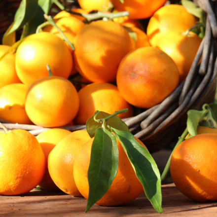 Oranges Sanguines - 2kg