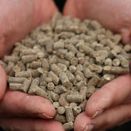 Engrais organique 3 kg