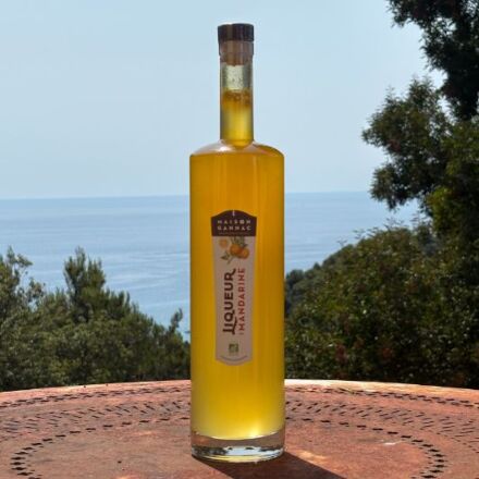 Magnum Liqueur BIO de mandarine