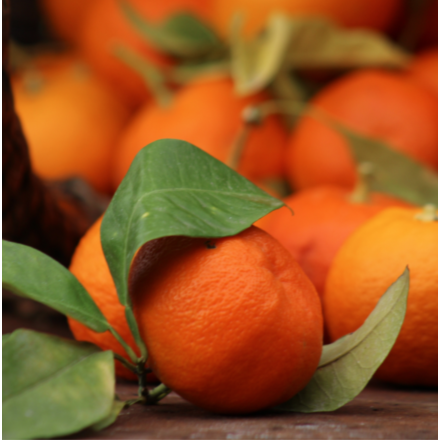 Oranges Amères BIO (Bigarade) - 3,5kg