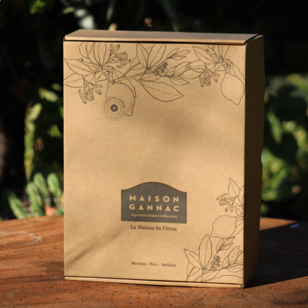 Coffret en carton vide rectangle