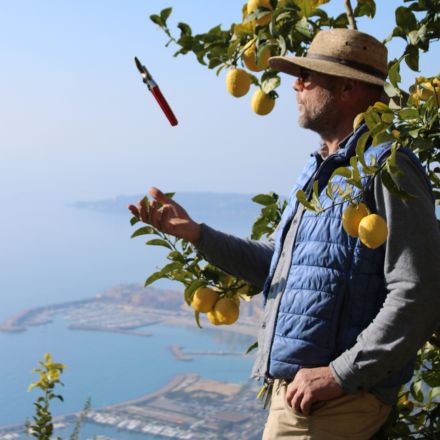 Atelier - La culture des agrumes avec Laurent Gannac