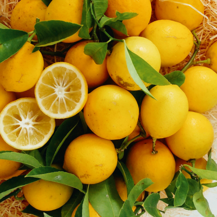 Citrons Meyer BIO 2 kg