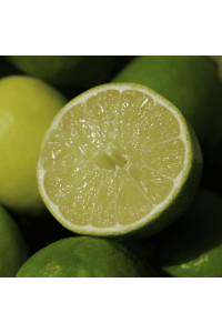 Citron Vert - Lime de Tahiti BIO 1kg