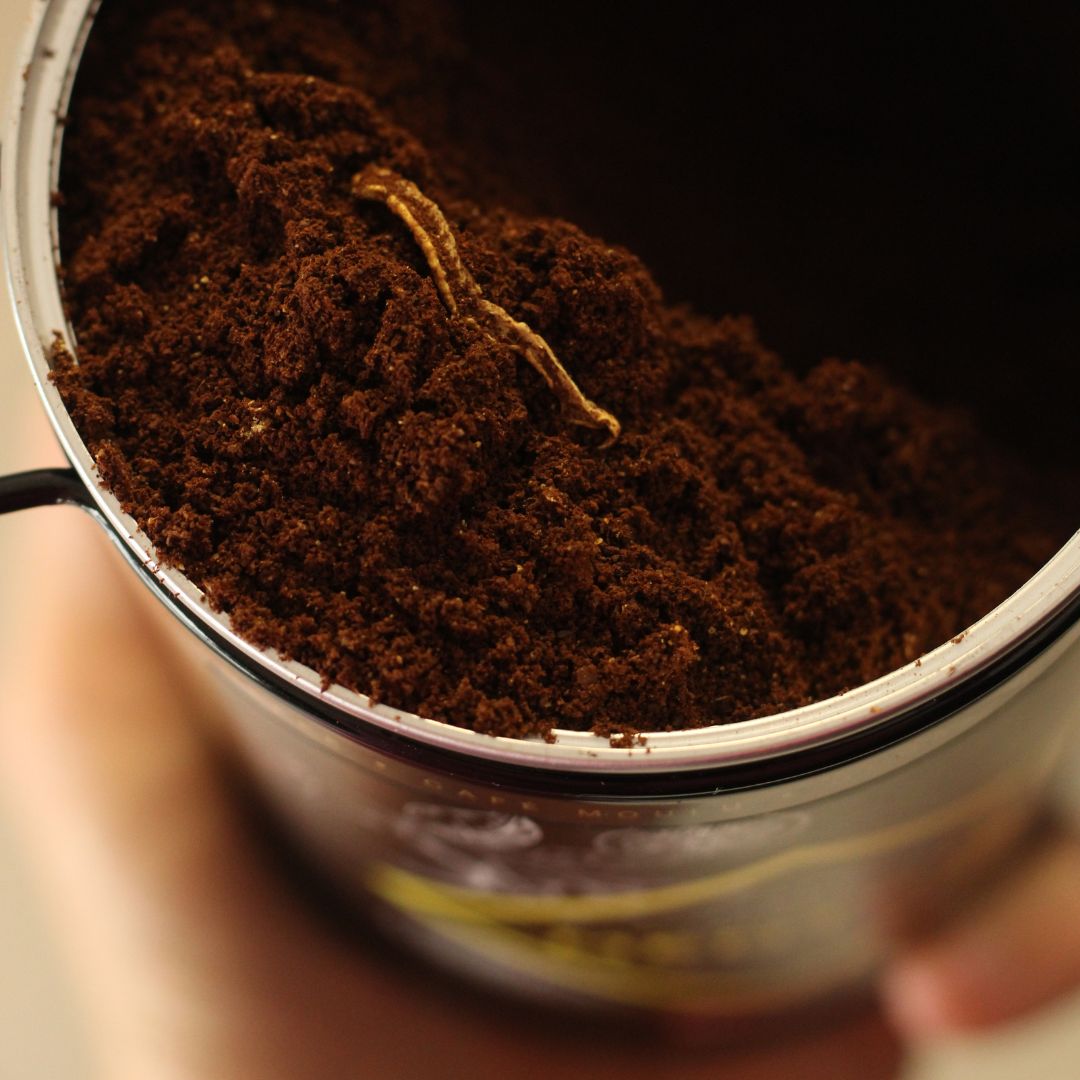 Café Citron de Menton MALONGO Maison Gannac