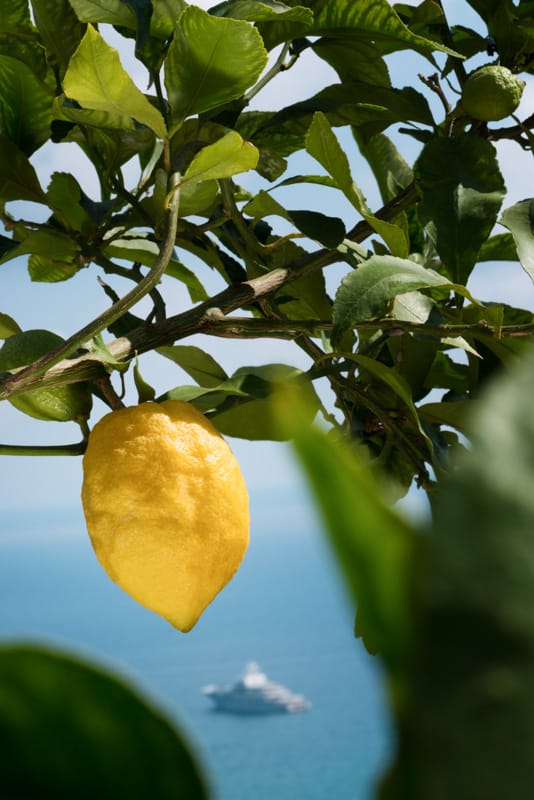 Domaine Gannac Menton