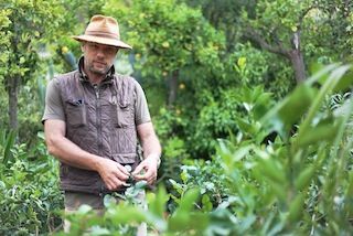 Laurent gannac Laurent Gannac, Agrumiculteur, producteur citron de menton