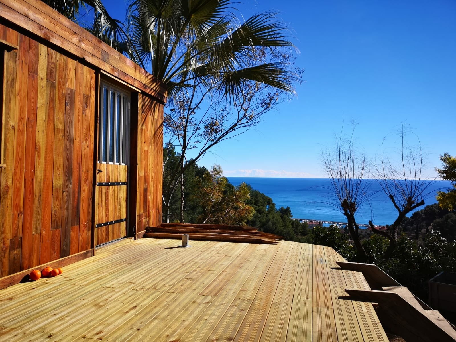 Espace de vente à la pépinière