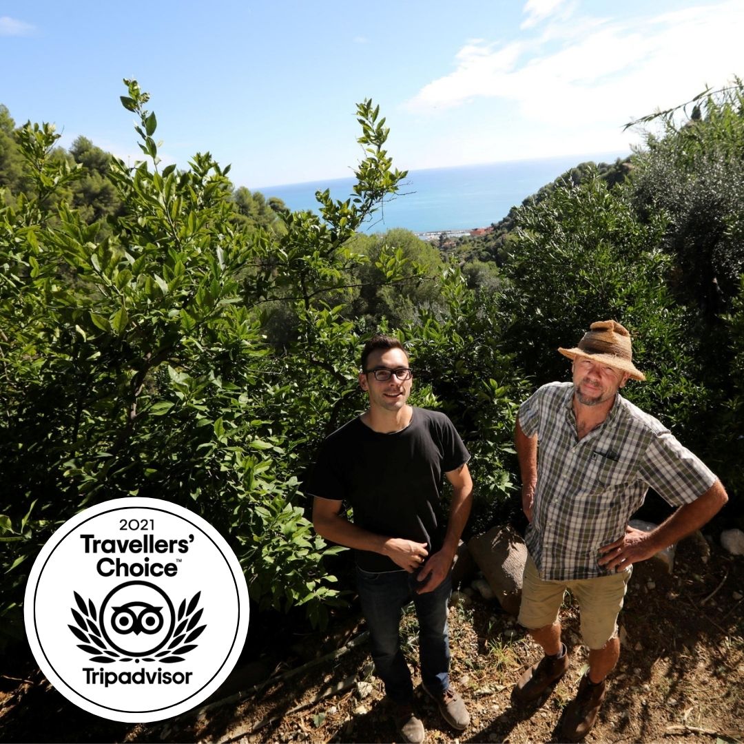 La Maison du Citron récompensée par Tripadvisor